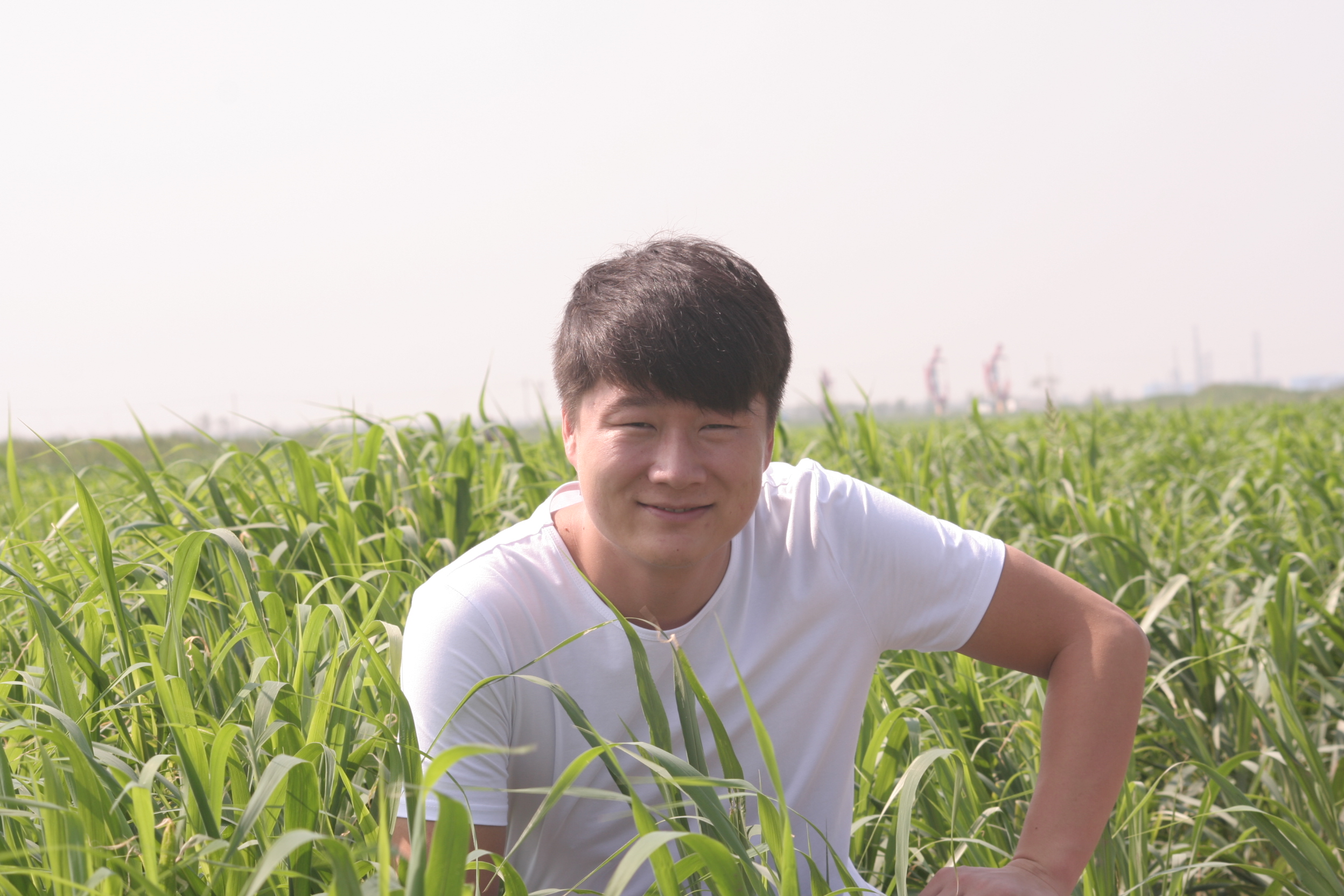 ��ʩ�݆T��